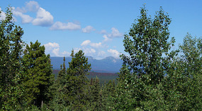 Landschaft3