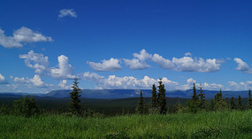 Landschaft4