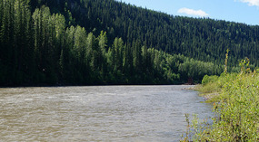 Landschaft5