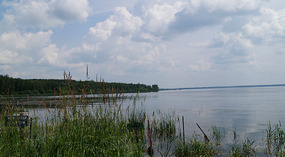 Ross Haven2