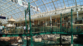Mall17