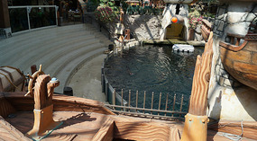 Mall19