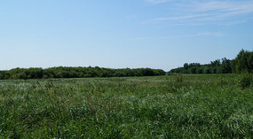 Elk Island National Park2