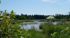 Elk Island National Park3