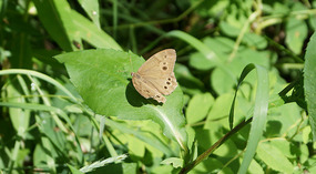 Elk Island National Park4
