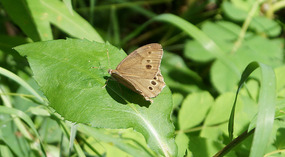 Elk Island National Park5