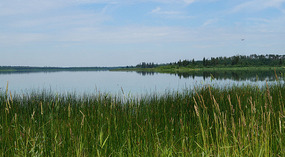 Elk Island National Park6