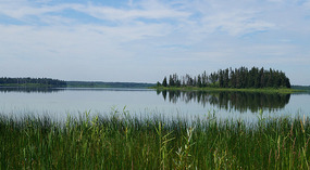 Elk Island National Park7