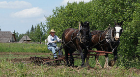 Ukraine17