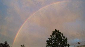 Regenbogen3