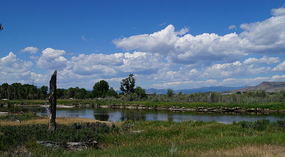 Berge in Montana8