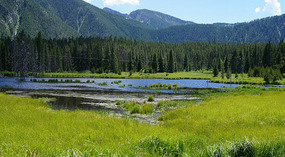 Madison Canyon11