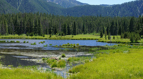 Madison Canyon14