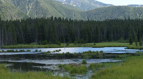 Madison Canyon9