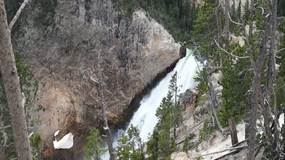 Video Yellowstone10