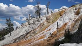 Video Yellowstone11