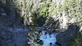 Video Yellowstone2