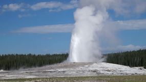 Video Yellowstone7