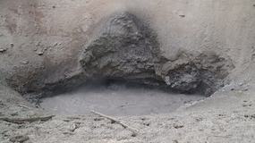 Video Yellowstone9