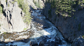 Yelowstone1