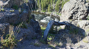 Yelowstone10