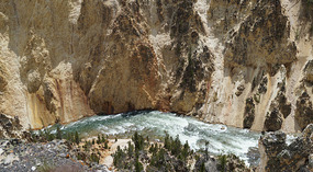 Yelowstone102