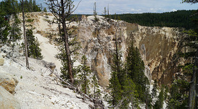 Yelowstone105