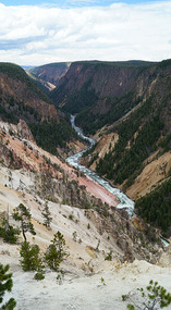 Yelowstone108
