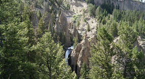 Yelowstone116