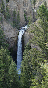 Yelowstone117