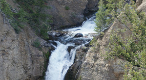 Yelowstone118