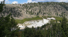Yelowstone120