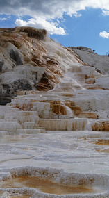 Yelowstone135