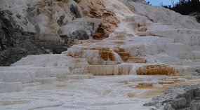 Yelowstone141