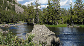 Yelowstone146