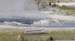 Yelowstone19