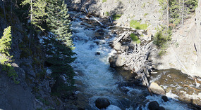 Yelowstone2