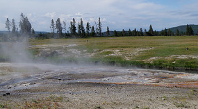 Yelowstone20