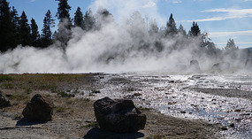Yelowstone24