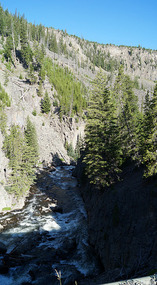 Yelowstone3
