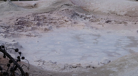 Yelowstone35