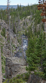 Yelowstone44