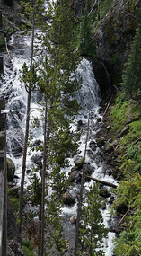 Yelowstone45