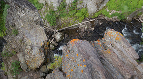 Yelowstone46