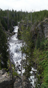 Yelowstone47