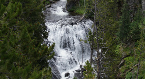 Yelowstone48