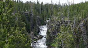Yelowstone49