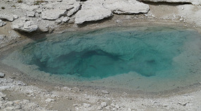 Yelowstone54