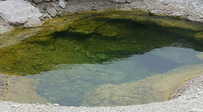 Yelowstone56