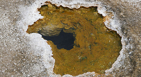 Yelowstone59